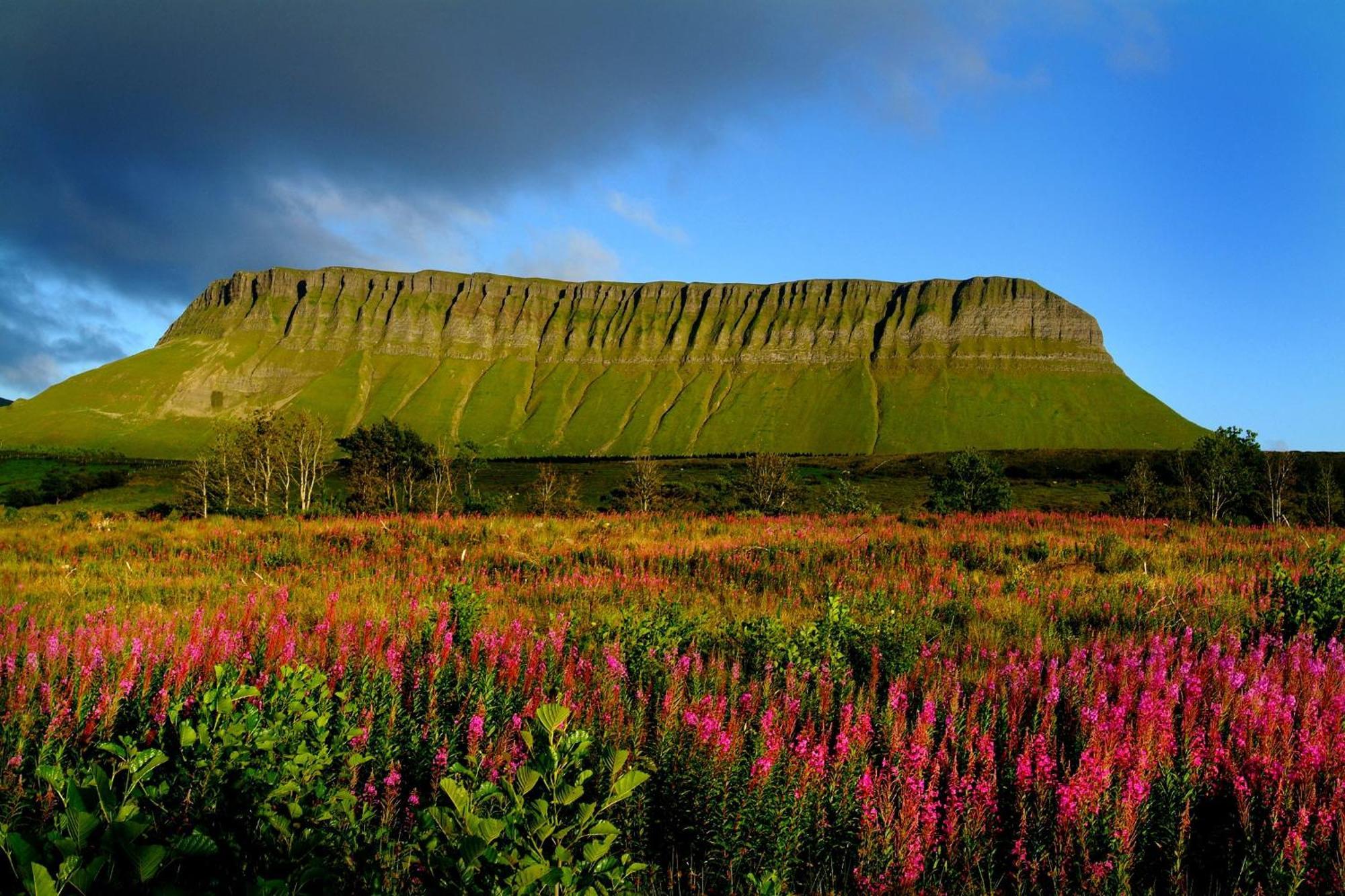 Central Sligo Townhouse Екстер'єр фото